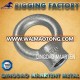 Drop Forged JIS 1169 Galvanized Lifting Eye Nut